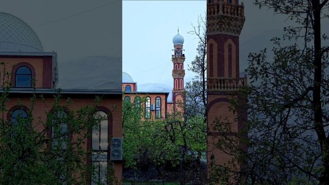 Пятничная проповедь про еврея ( Абдула Миарсо ) 11.04.2025 г