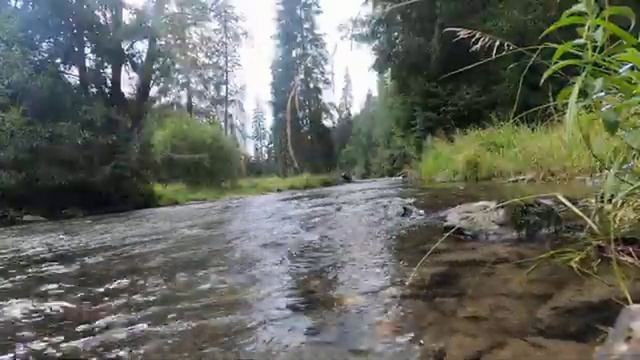 ЖИВИТЕ....чтобы ЖИТЬ. а не существовать....