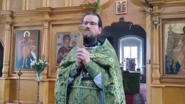 Проповедь иерея Павла Каледы в Праздник Входа Господня в Иерусалим