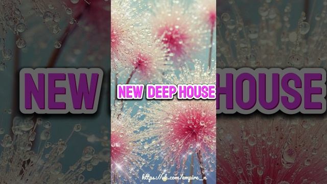 NEW DEEP HOUSE