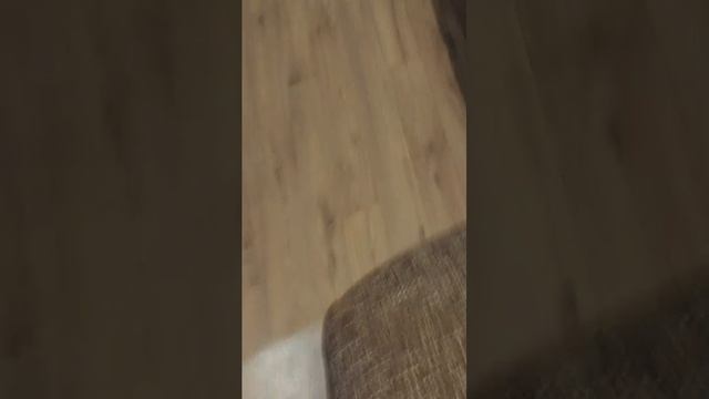 мы с Вовой играем в войнушки