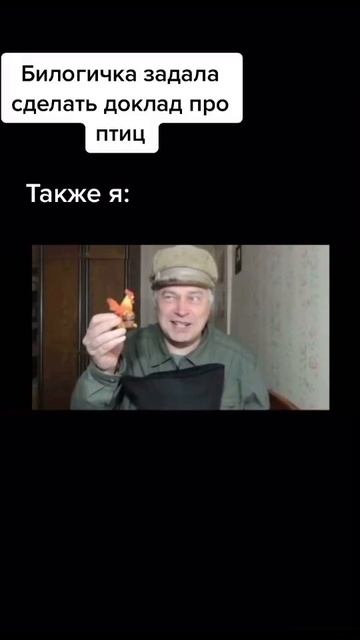 VID_20250413_224648_676.mp4