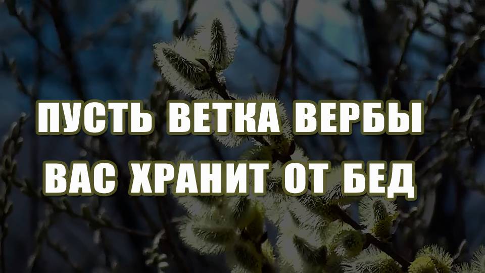 Пусть ветка вербы вас хранит от бед!