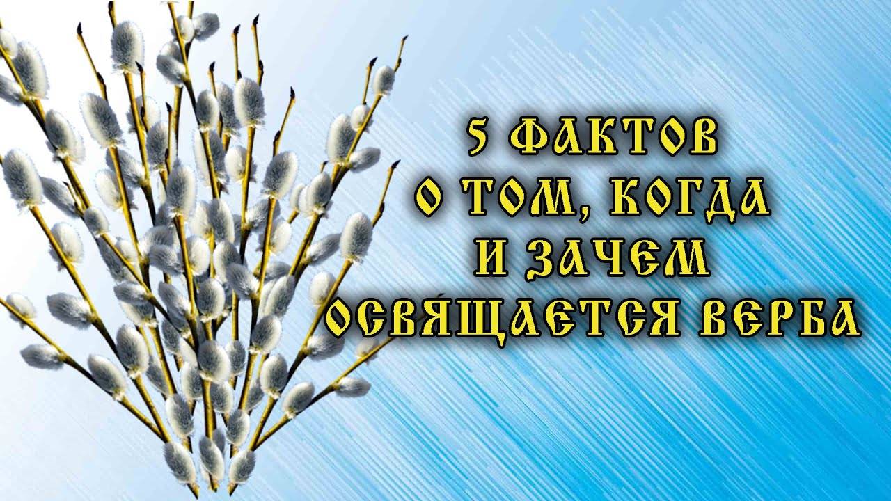 Что мы знаем об ОСВЯЩЕНИИ ВЕРБЫ в праздник Входа Господнего в Иерусалим? ЧТО ДЕЛАТЬ с ВЕРБОЙ?