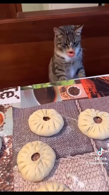 беляш