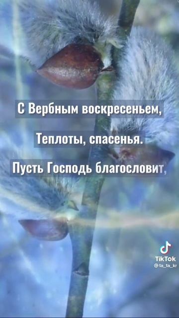 Поздравляю всех с Вербным воскресеньем !