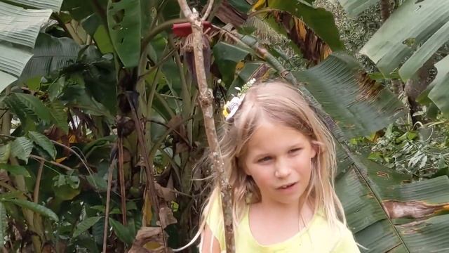 Cassia Goes Bananas in India