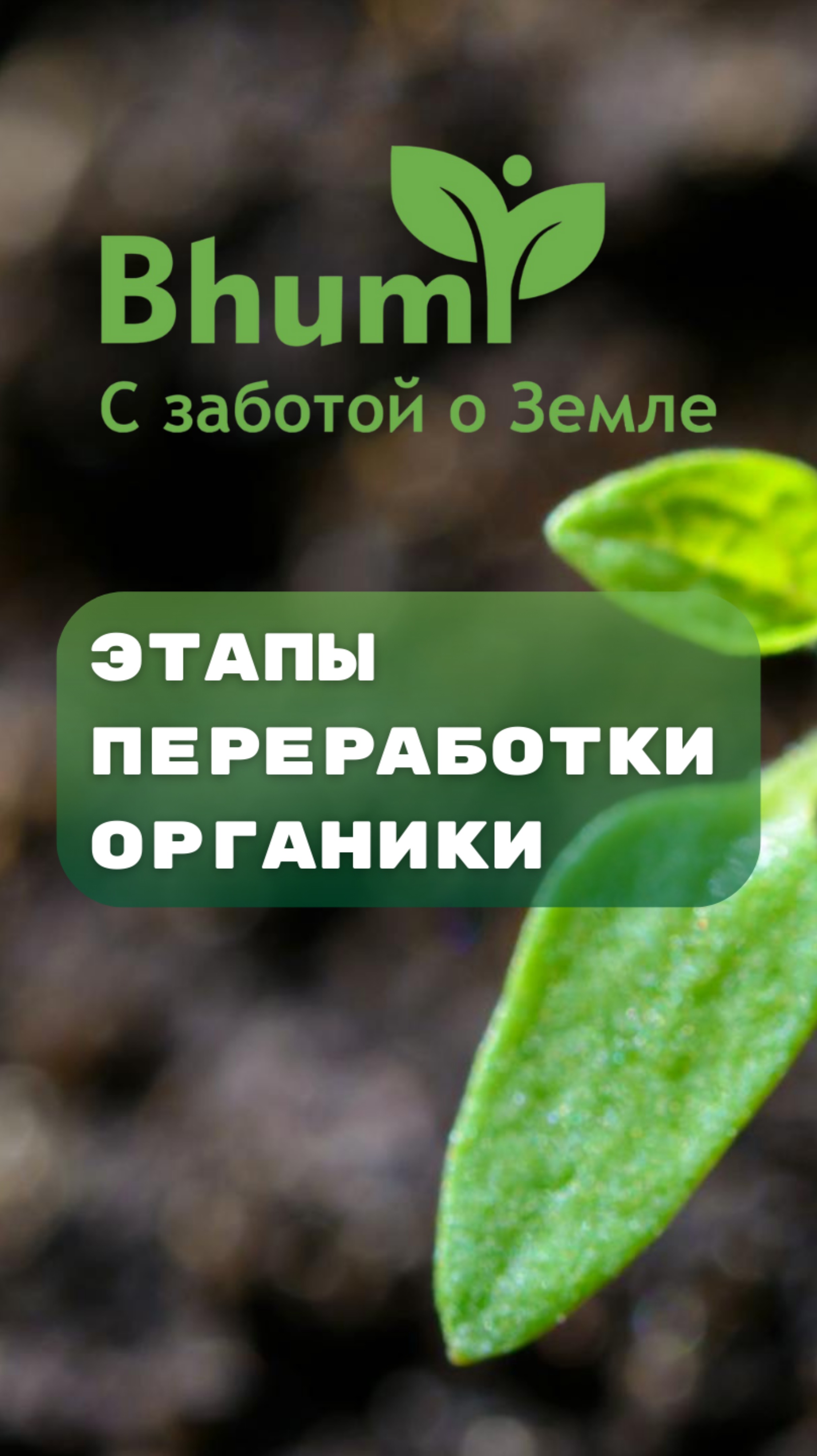 Этапы переработки органики #bhumi #органика #переработка #плодородие