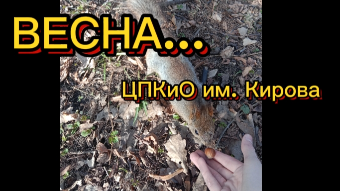Весна на Елагином острове, СПБ - ЦПКиО им. Кирова
