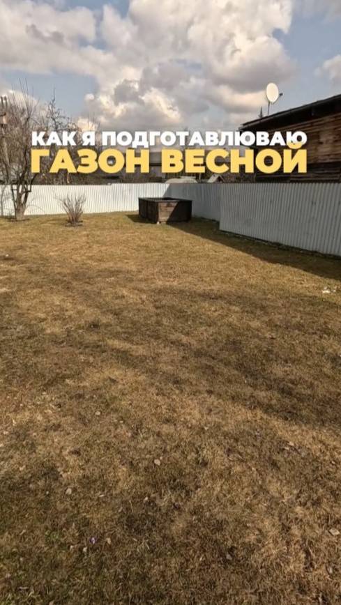 Как я ухаживаю за газоном весной