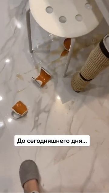 Кот Ральф пытался утащить бутерброд с колбасой и что из этого вышло😭