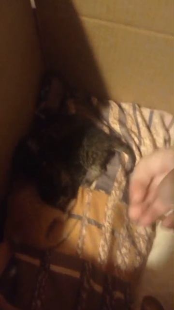 1000139182.mp4