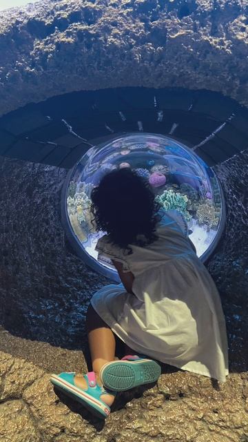 Океанариум в Бангкоке