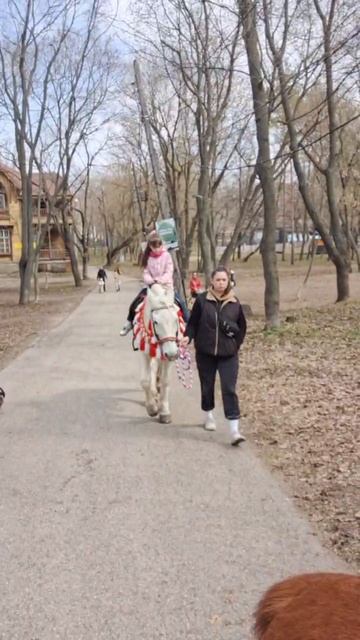 Катаемся на лошади