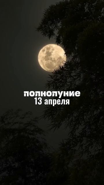 🌕ПОЛНОЛУНИЕ🌕
