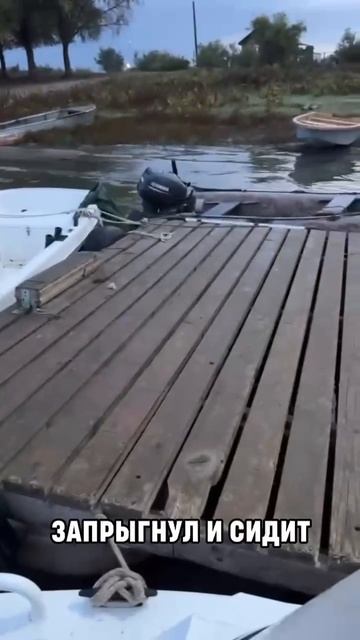 Утренний сюрприз перед рыбалкой
