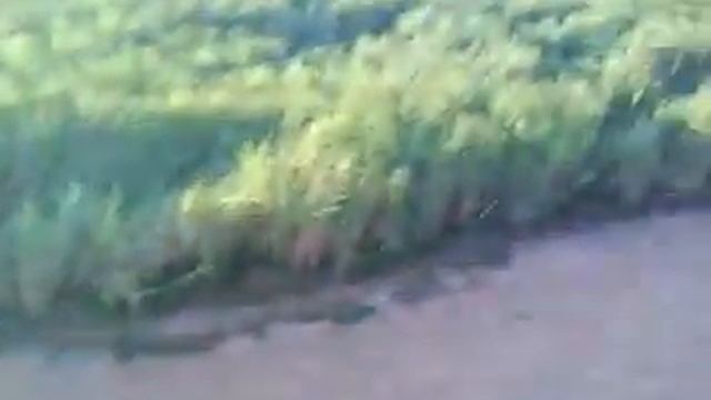 VOO - 24/05/2009