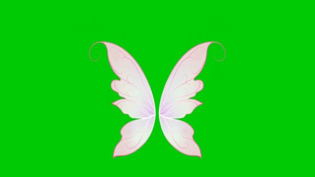 Animated 3D Beautiful pink Angel Butterfly wings with green screen background | 4K