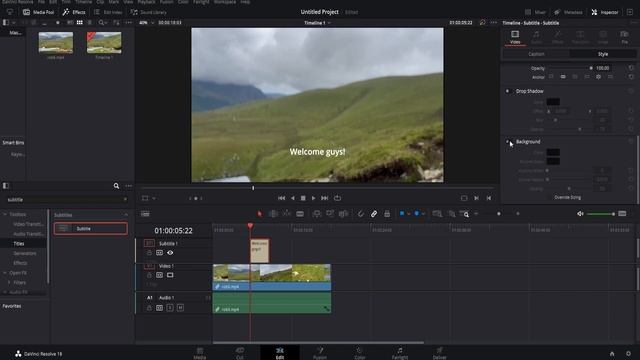 How to add subtitles in Davinci Resolve *FAST TUTORIAL*