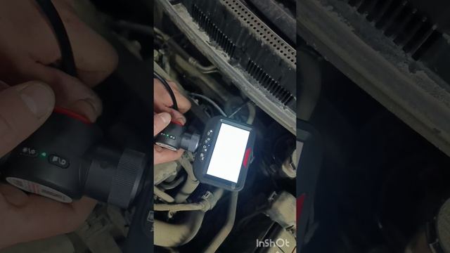 1000042041.mp4