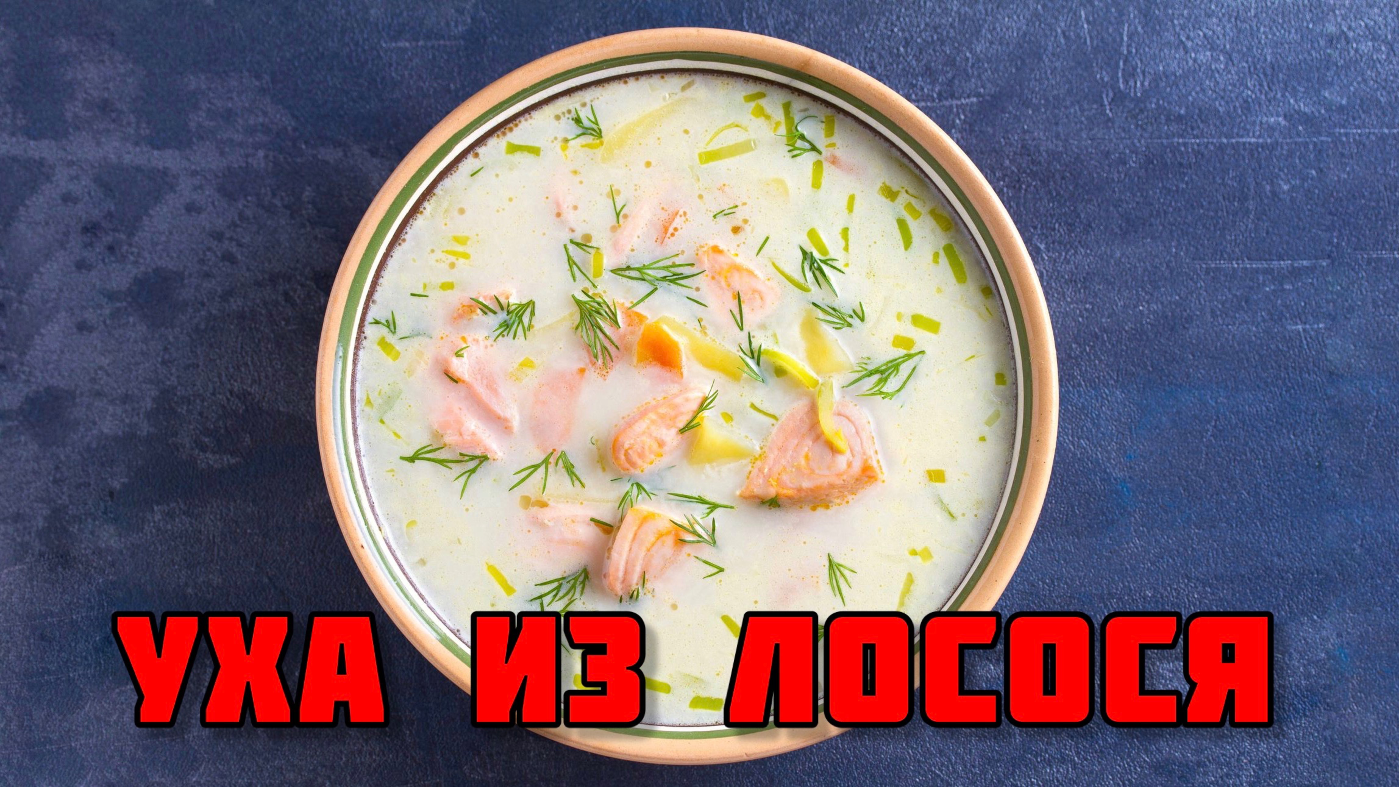 Уха из лосося