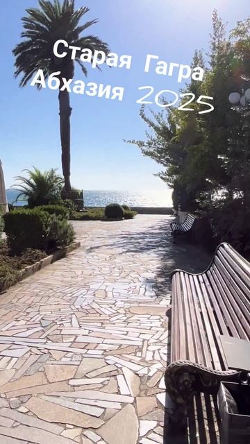 Территория отеля Амра парк в Абхазии