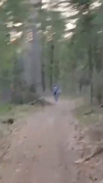 welt.mp4
