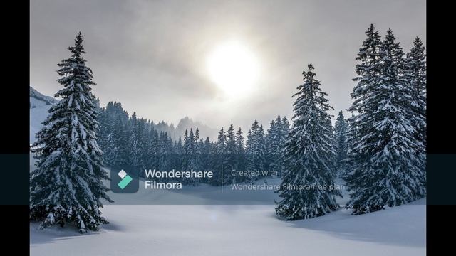 wonderful world