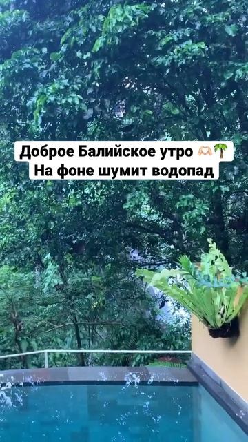 Доброе утро, Бали и Водопад