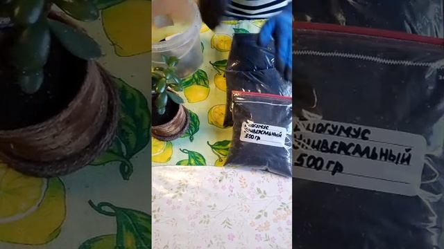 Чистый биогумус универсальный