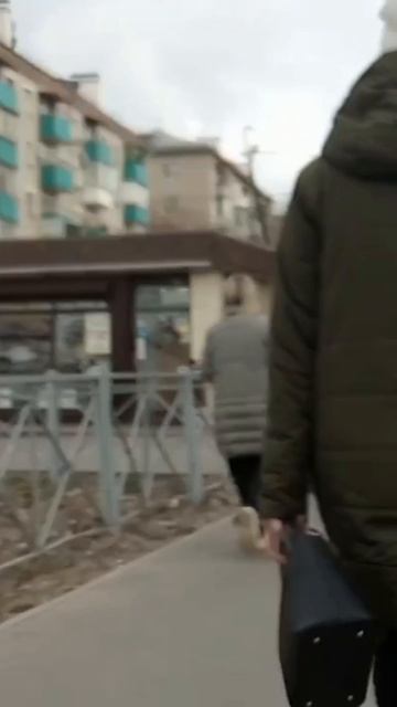 люди идут