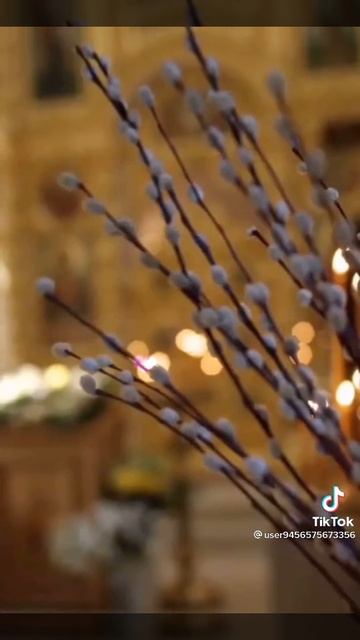 С Вербным Воскресеньем!