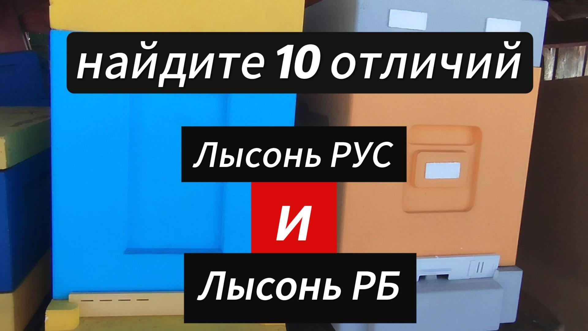 разница между ульями лысонь РБ и лысонь РУС