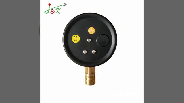 40mm Stainless Steel Pressure Gauge