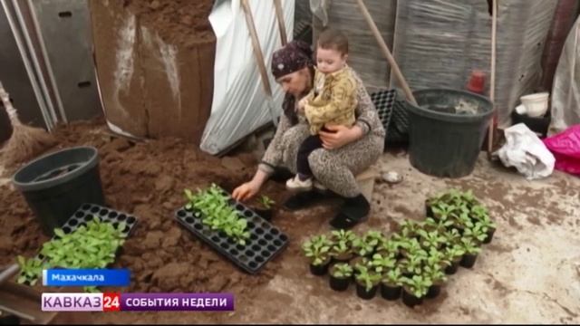 Они делают мир цветущим