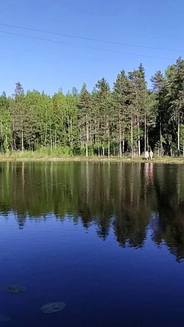 Выборг