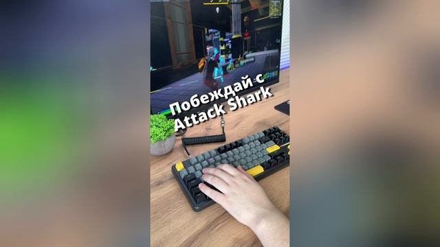 ATTACK SHARK X87 — КОМПАКТНАЯ БЕСПРОВОДНАЯ КЛАВИАТУРА С RGB И HOT-SWAP ДЛЯ ИГР И ДЛЯ РАБОТЫ! 🔥
