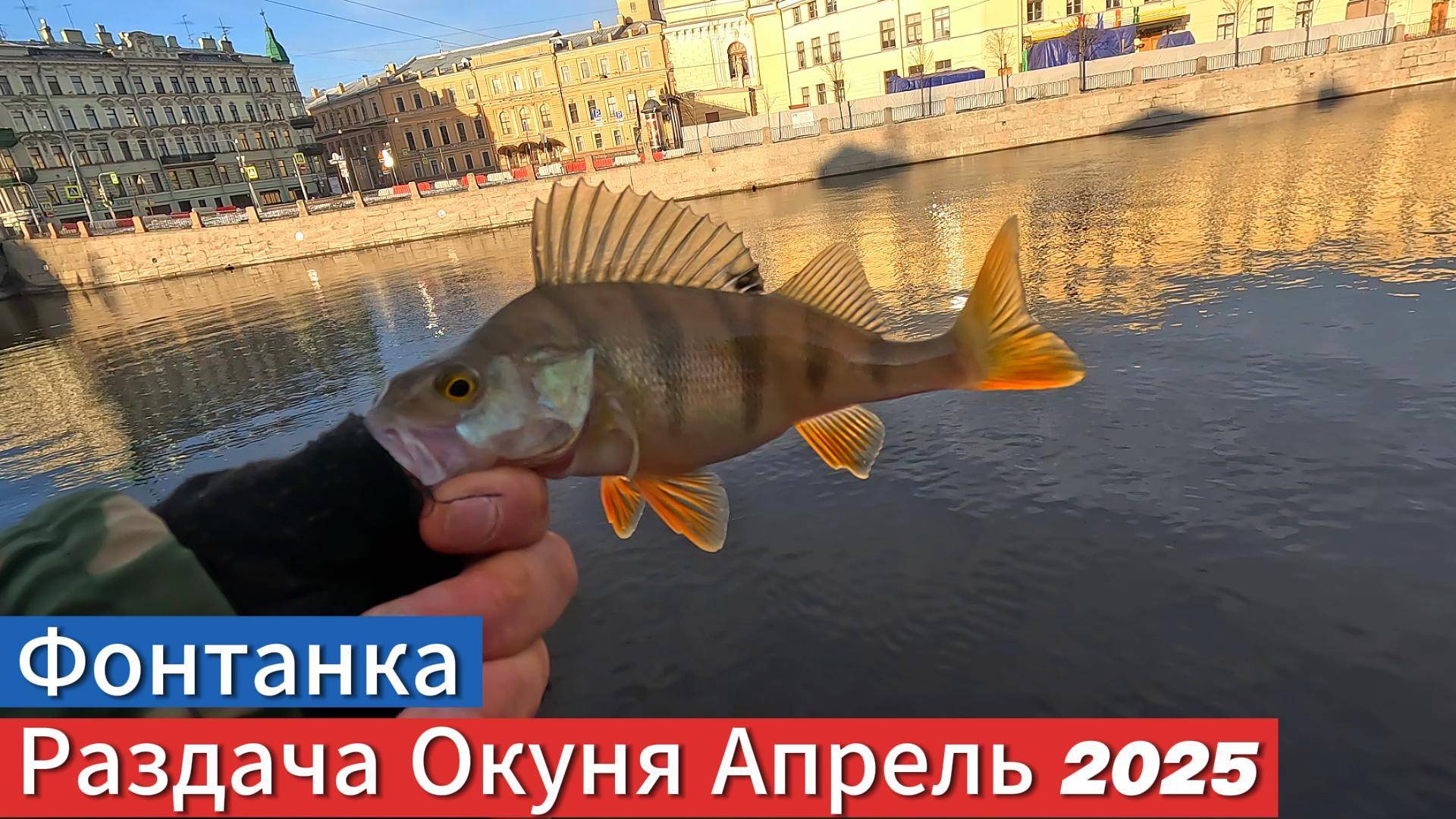 УТРО АПРЕЛЬ РЕКА ФОНТАНКА РАЗДАЧА ОКУНЯ- В №2 ОБЗОРЕ БУДЕТ ХОДЬБА ПО МОИМ ТОЧКАМ ЛОВА И ПОИМКА ОКУНЯ