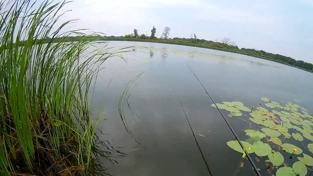 рыбалка