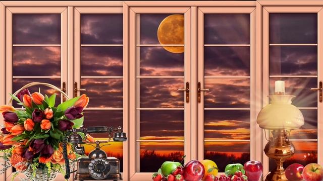 Ночное безмолвие 28