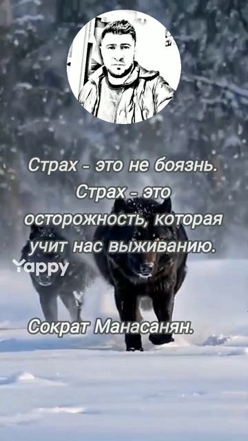 цитаты, афоризмы, стихи и.... мудрые мысли
