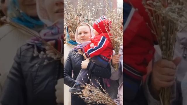 верба и история Христианства.
Владыка Лукиан.