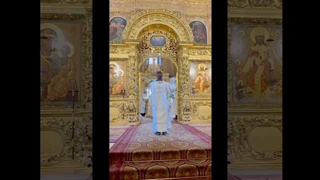 Праздничная Литургия в Вербное Воскресенье.