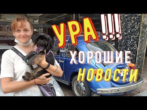 Турция. Аланья.  7 мая 2020 года. Последние новости.