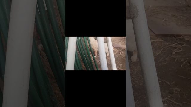 5 видео в одном видео