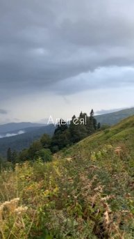 Альпийские луга ближе, чем ты думаешь!
Ждём тебя в солнечной Адыгее!