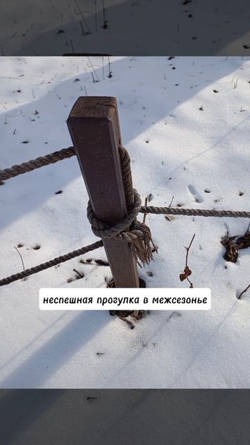 21_серия_зачем нужны впечатления.mp4