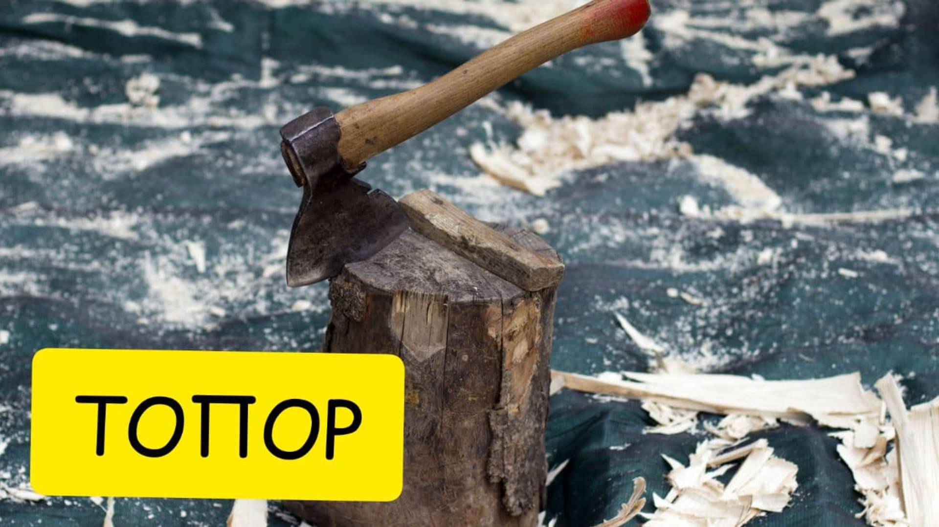 К чему снится ТОПОР или топор ВО СНЕ. Толкование сна. Сонник