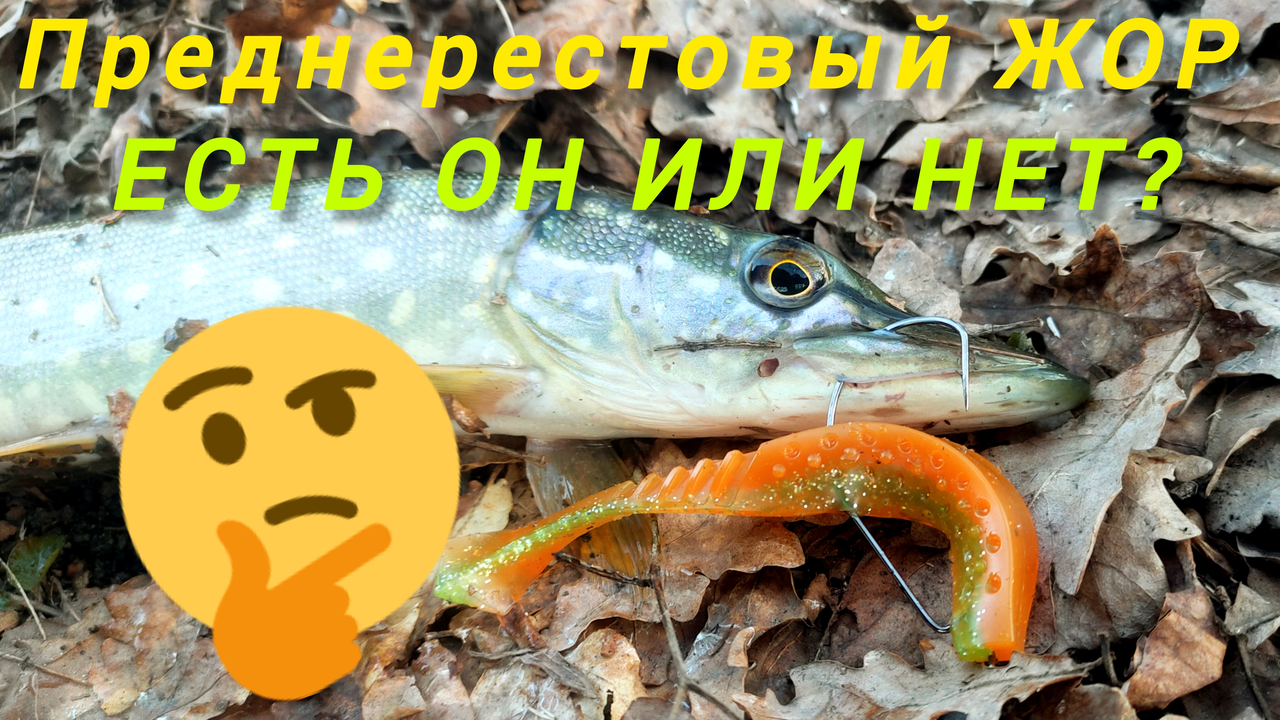 226-Преднерестовый жор Щуки. Есть он или нет_!(25-26.03.2025) #рыбалканащуку#рыбалканаспиннинг#щука