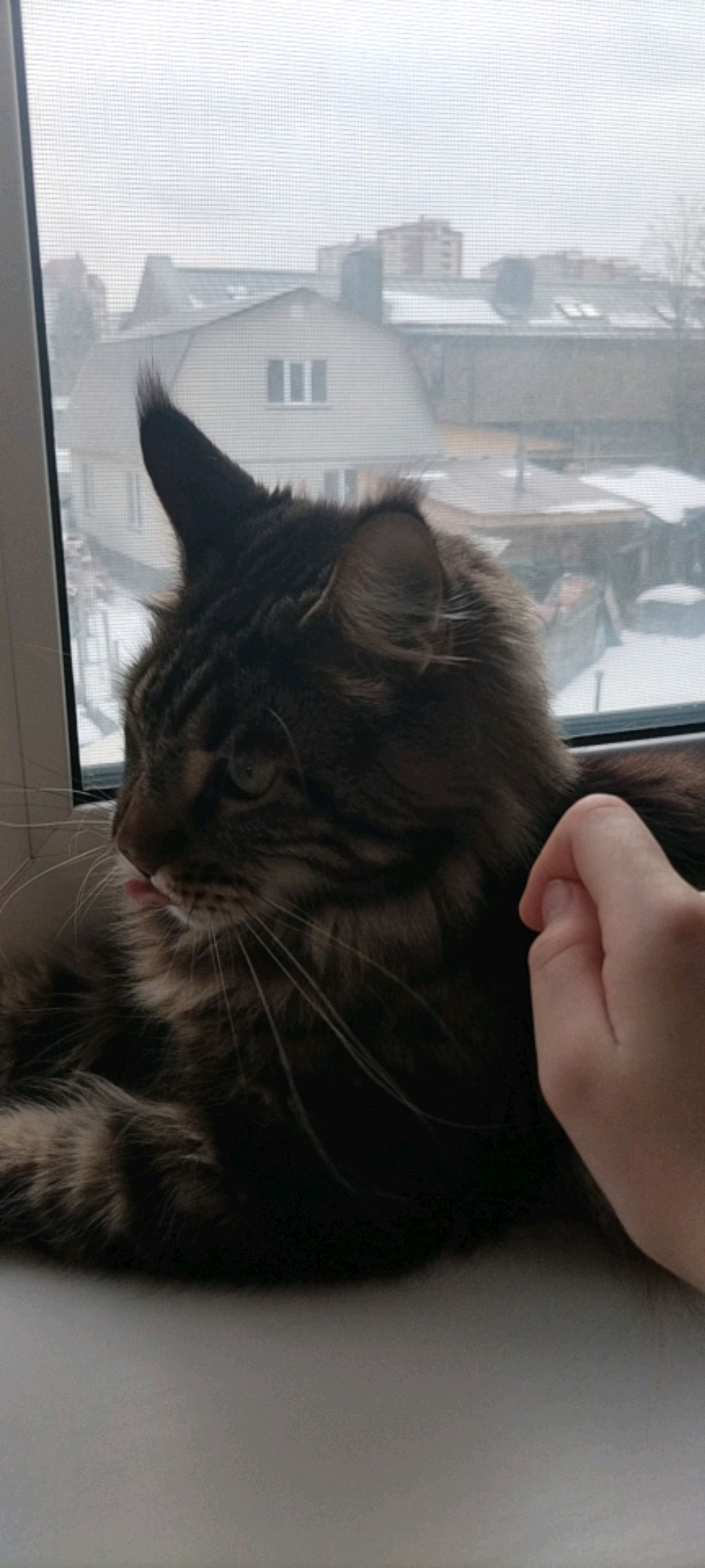 играю в роблокс